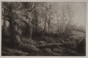 Eine Waldstudie von Alphonse Legros