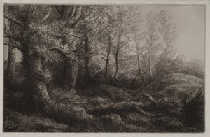 Eine Waldstudie von Alphonse Legros