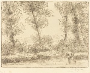 Ufer der Liane von Alphonse Legros