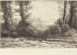 Waldrand