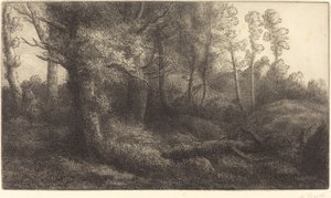 Im Wald von Alphonse Legros