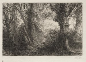 Im Wald bei Conteville von Alphonse Legros