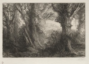 Im Wald bei Conteville von Alphonse Legros