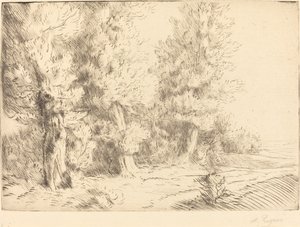 Im Wald von Fontainebleau von Alphonse Legros