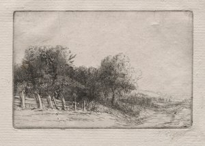 Landschaft