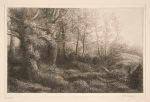 Waldrand von Alphonse Legros