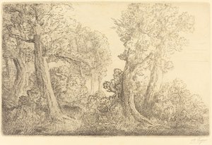 Nahe dem Wald, Veronne von Alphonse Legros