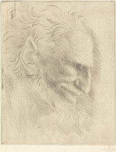 Studie für den Kopf eines Mannes von Alphonse Legros