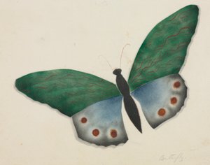 Schmetterling von Altha Mary Nims