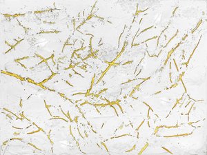 Goldene Organische Textur