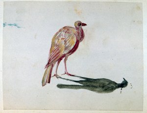 Ein Vogel