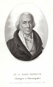 Jacques-Louis Marin de France von Ambroise Tardieu