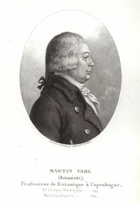 Martin Vahl von Ambroise Tardieu
