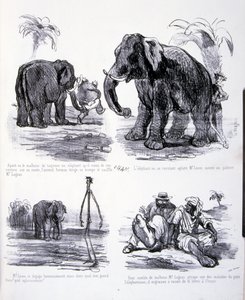 Illustration für Die Kunst des Zunehmens und Abnehmens von Amédée de Noé