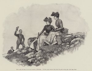 Peer und Erbin, von Walter Besant