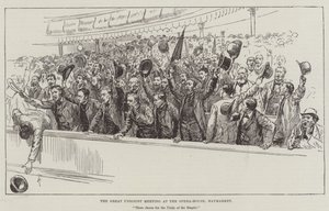Das große Unionistentreffen im Opernhaus, Haymarket