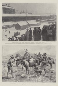 Der Krieg im Transvaal