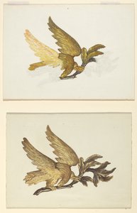 Adler