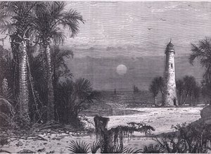 Ansicht der Küste von Florida, Illustration aus Cassells Geschichte der Vereinigten Staaten, veröffentlicht von Cassell, Petter & Galpin, ca. 1900 (Lithografie) von American English school