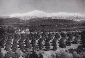 Kalifornien: Redlands, von Smiley Heights, Sonnenschein, Orangenhaine und schneebedeckte Gipfel