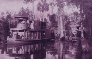 Am Ocklawaha River, Florida von American Photographer (after)