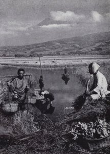 Bauern sammeln Binsen im großen Gemüsedistrikt von Suzukawa von American Photographer (after)