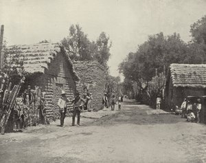 Straßenszene in Santa Anita, Mexiko von American Photographer (after)