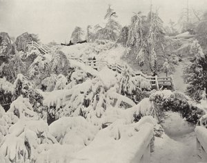 Winterlaub auf Luna Island von American Photographer (after)
