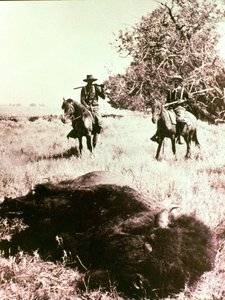 Amerikanische Bisonjäger