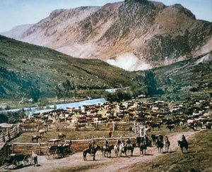 Rinderfarm, Colorado von American Photographer