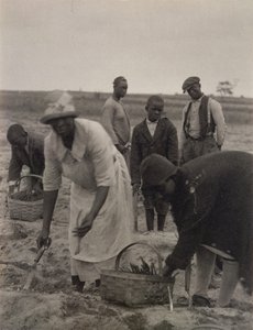 Feldarbeit