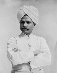 Herr D. Joseph, ein 