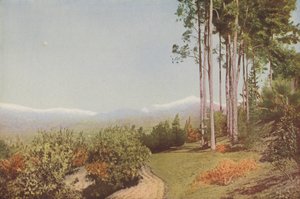"Old Baldy," von Smiley Heights, Kalifornien