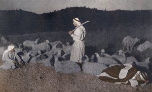 Palästinensische Hirten, die nachts ihre Herde bewachen von American Photographer