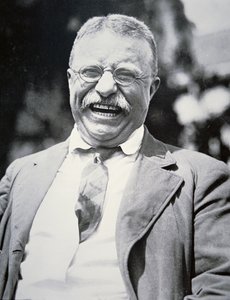 Präsident Theodore Roosevelt, ca. 1917 (s/w Foto)