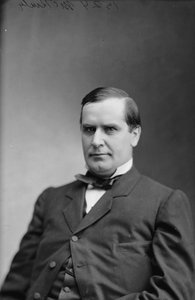Präsident William McKinley, 1870-80