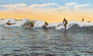 Surfreiter, Hawaii