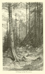 Eine Schlucht in den Pyrenäen von American School