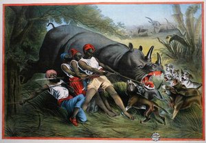 Nashornjagd