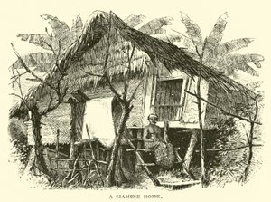 Ein siamesisches Zuhause von American School