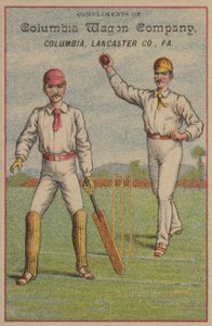 Amerikanisches Cricket von American School