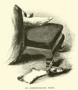 Ein aristokratischer Fuß von American School