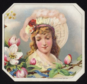 Attraktive Dame von American School