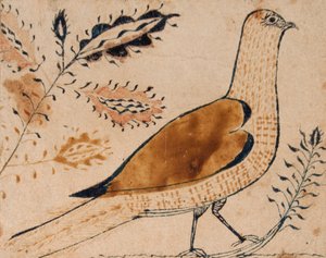 Vogel