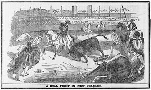 Stierkampf in New Orleans, aus Davy Crocketts Almanack, Boston, 1849 von American School