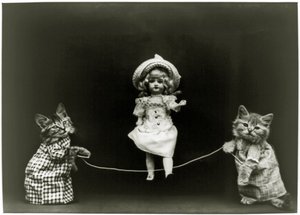 Katzeneugier, 1891 von American School