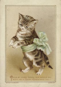 Katze trägt grüne Schleife von American School
