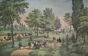 Central Park, Die Fahrt