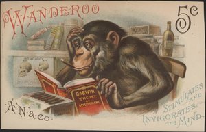 Charles Darwin, Theorie der Entwicklung (d.h. Evolution)