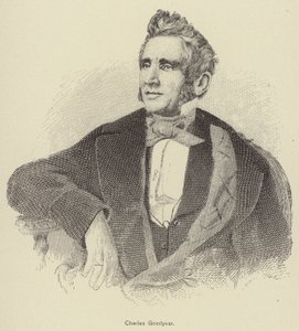 Charles Goodyear (Stich) von American School